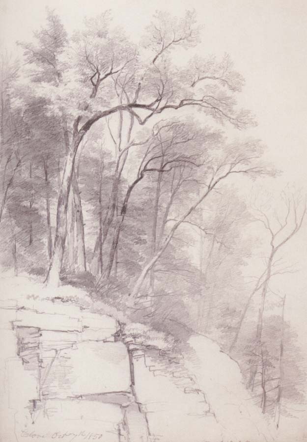 Asher Brown Durand Study of Trees and Rocks,kaaterskill Clove